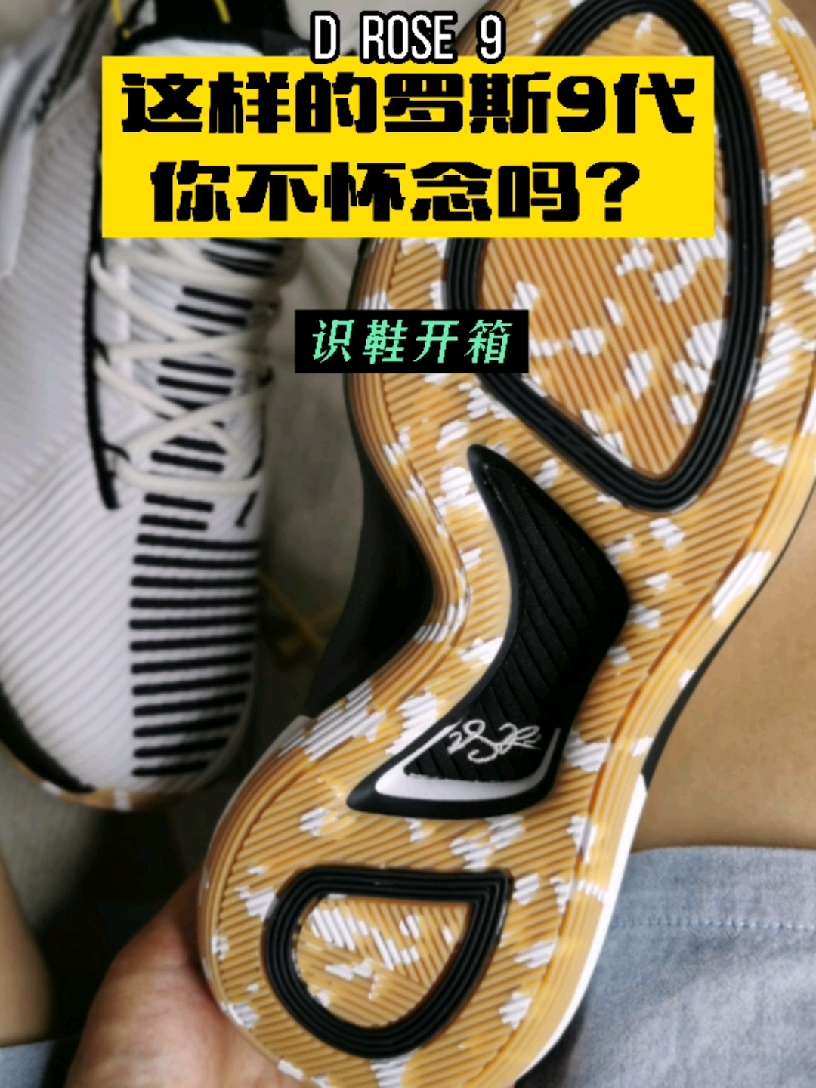 经历了罗斯10和11，这样一双罗斯9，不