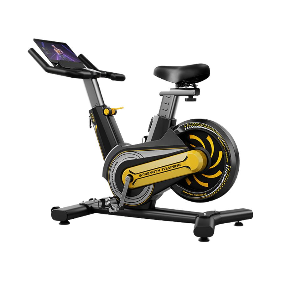 推荐商品：OES 健身 家用 运动 减肥 动感单车 OES-DC909