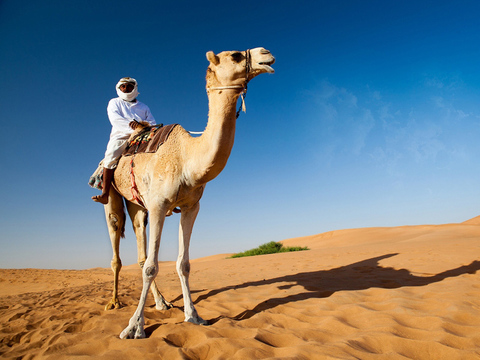 双11预售北上广迪拜6天3晚跟团旅游全程五星酒店