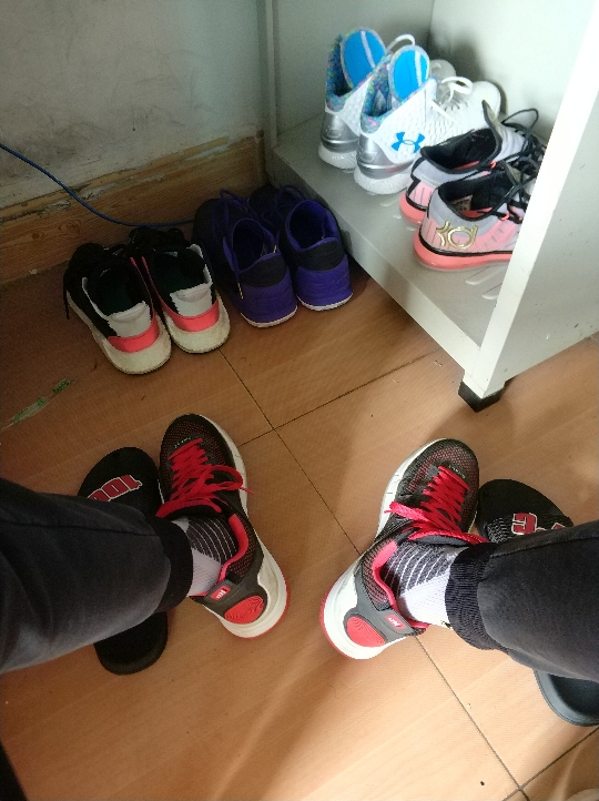 唉,看吧看吧,别在上面大小便就好仓鼠也想出来看我的新鞋子9898