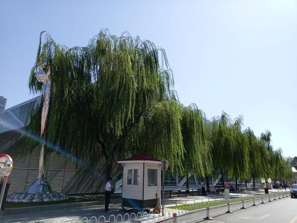 魅蓝6样张