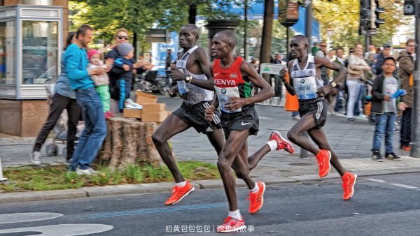 慢速肌纤维(红肌纤维)在体内的比例较高