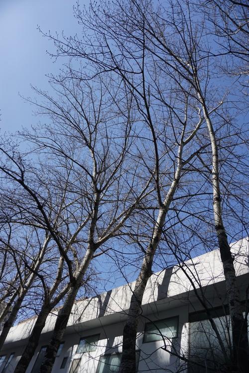 极速对焦+11张每秒连拍 索尼A6000评测 