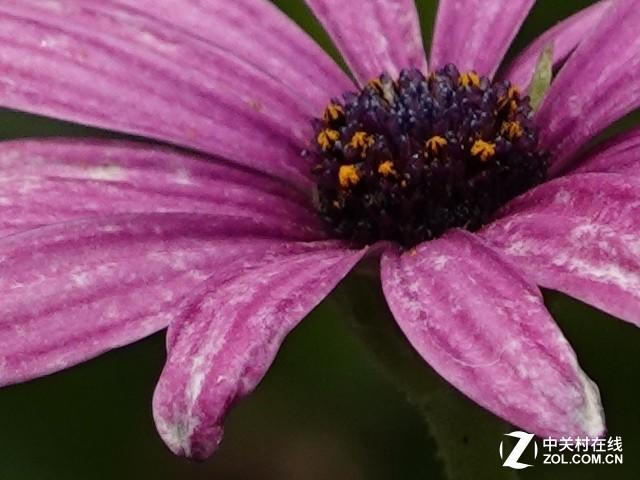 1英寸的终极形态? 索尼RX100 VI体验点评 