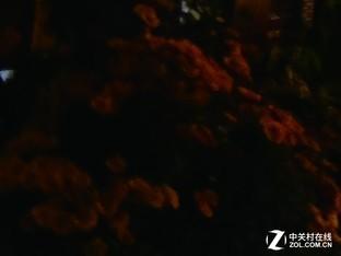 拒绝被套路 五个反常识的摄影小技巧 
