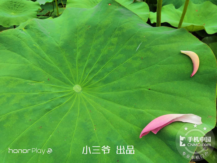 【图片25】【小三爷评测】激情酣战整个夏天-荣耀play酷玩版体验报告