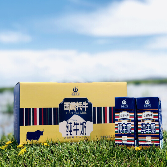 高原之宝西藏牦牛全脂纯牛奶200ml*12盒