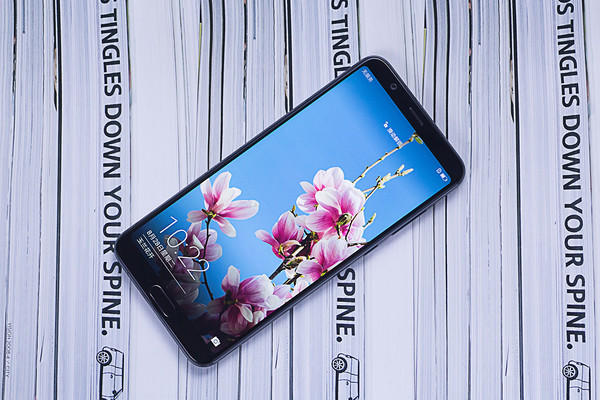 荣耀V10 8GB