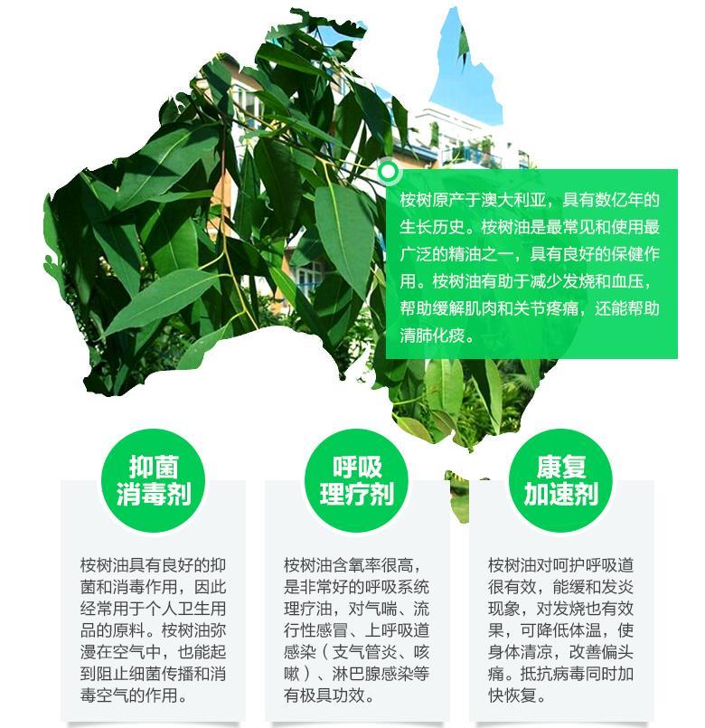 doppel herz 双心 天然桉树油胶囊 40粒