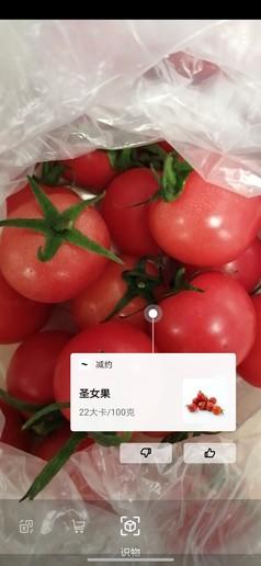 荣耀10青春版评测 千元“颜王”自拍美如画