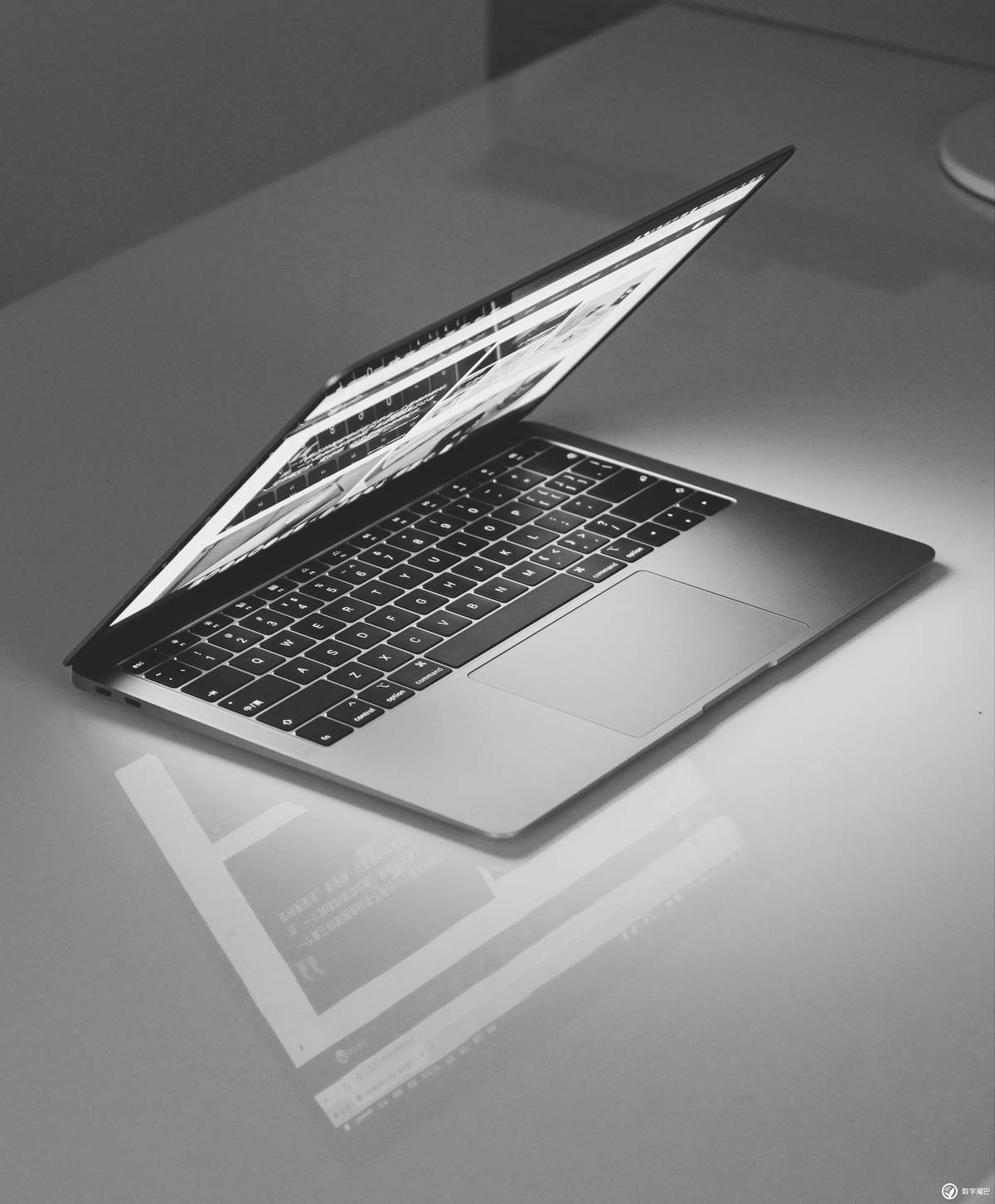 B4FD64E8-A89E-40B6-999E-578DDE4E6477.JPG