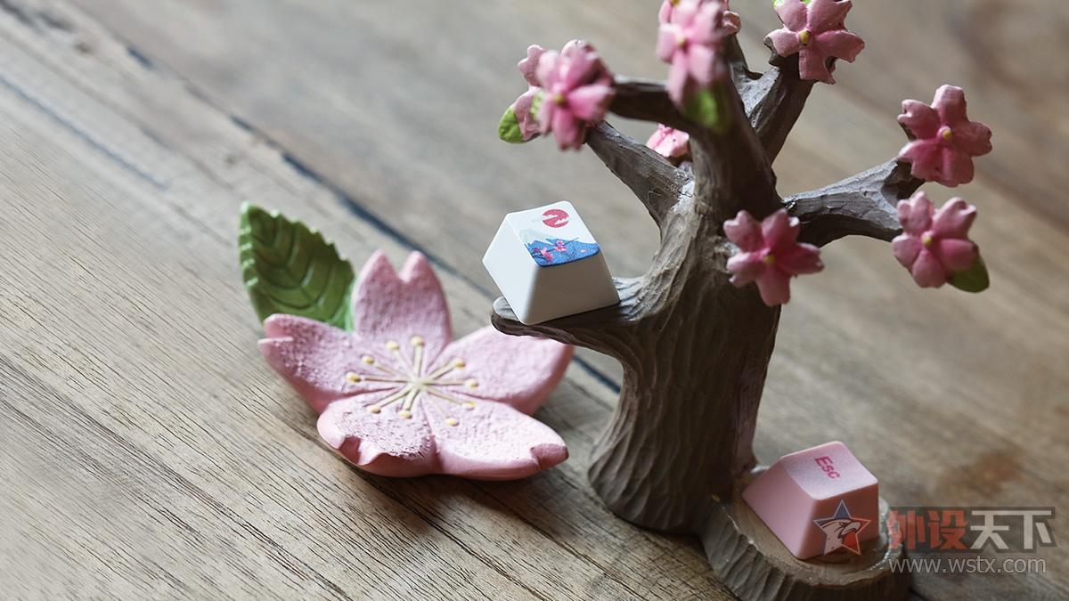 阿米洛“桜”主题键盘图赏简评：倾力绽放    