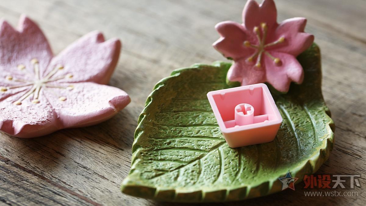 阿米洛“桜”主题键盘图赏简评：倾力绽放    