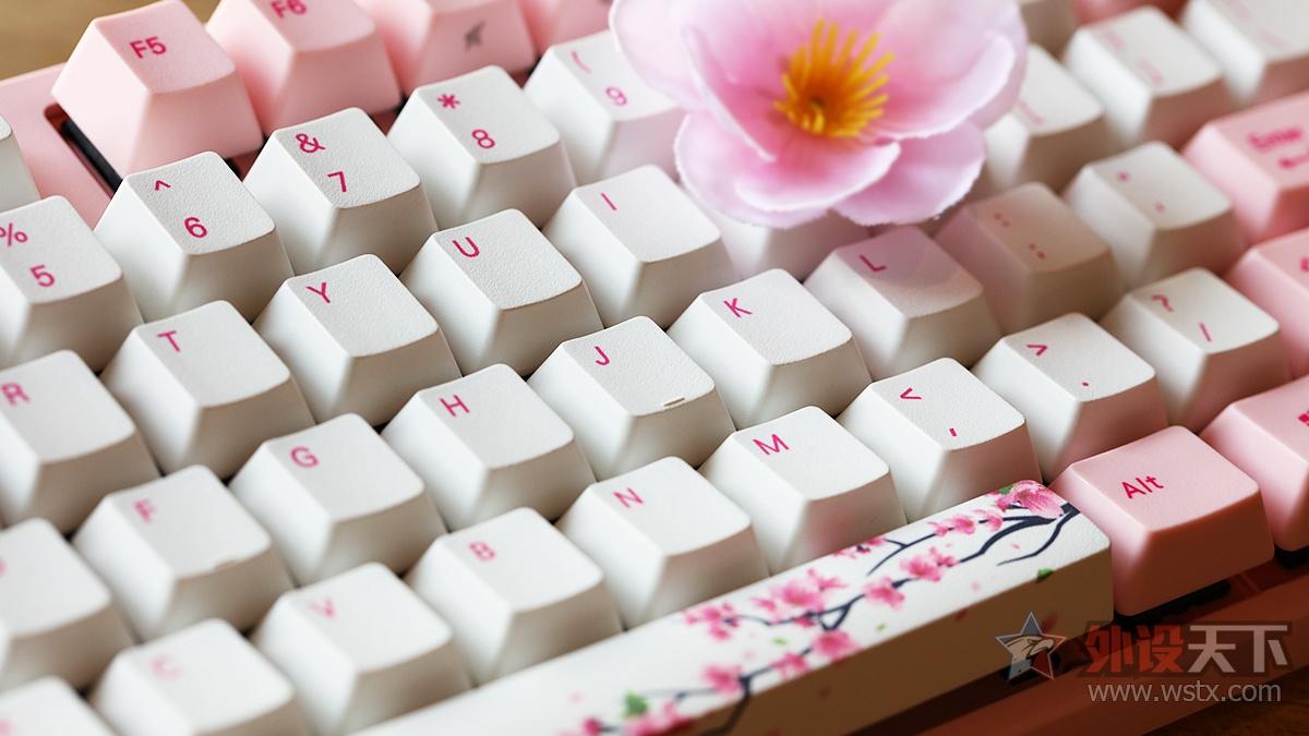 阿米洛“桜”主题键盘图赏简评：倾力绽放    