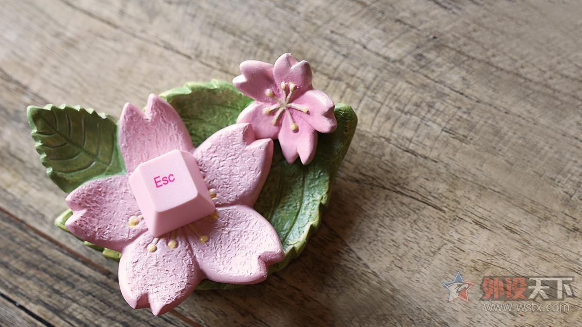 阿米洛“桜”主题键盘图赏简评：倾力绽放    