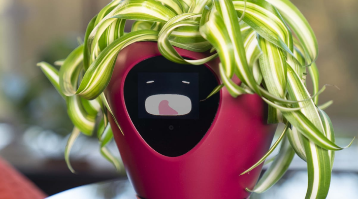 lua实时检测智能花盆