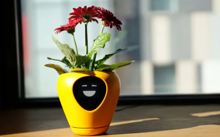 lua实时检测智能花盆