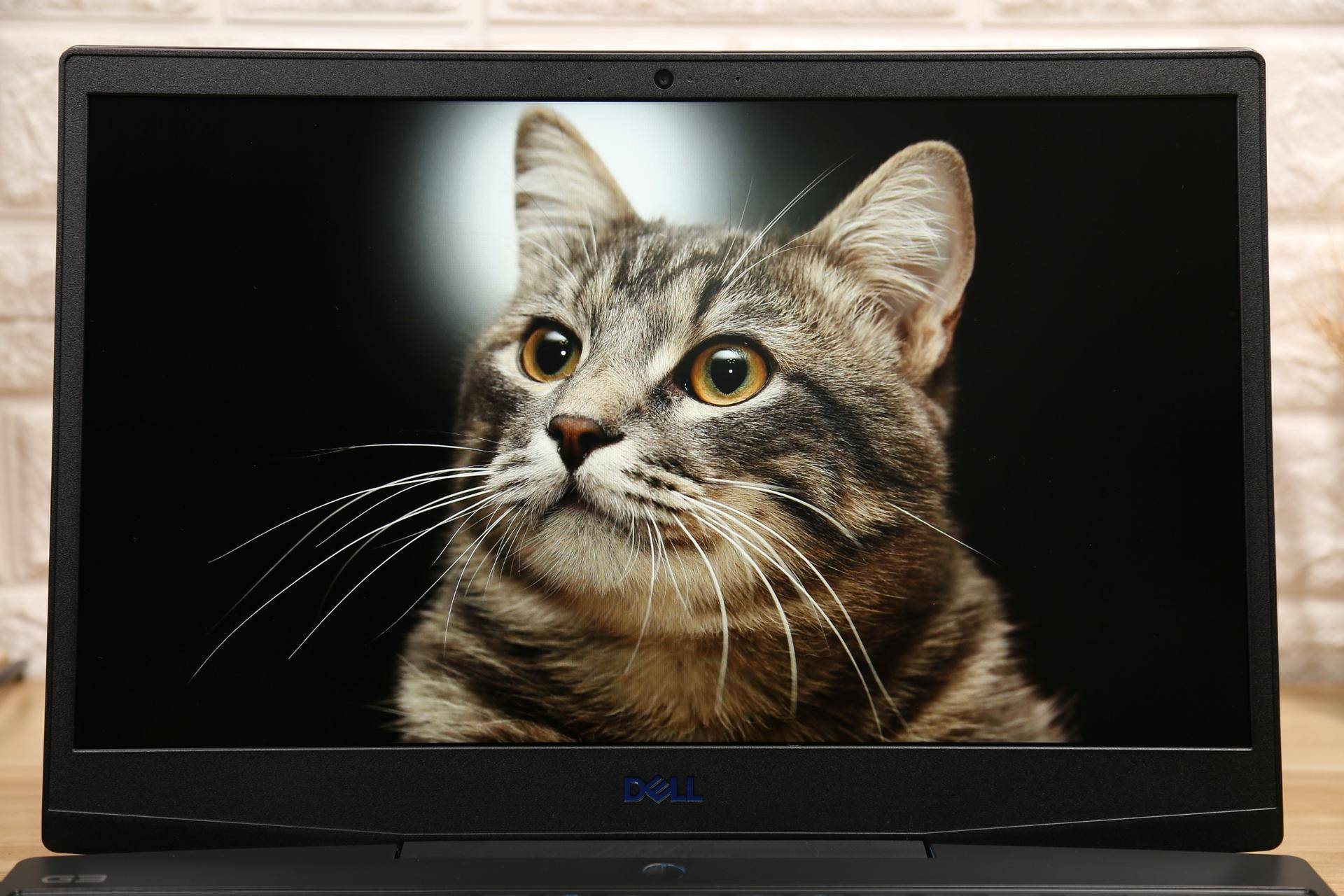 做工严谨性能优秀的"小外星人":戴尔g3 3590长测