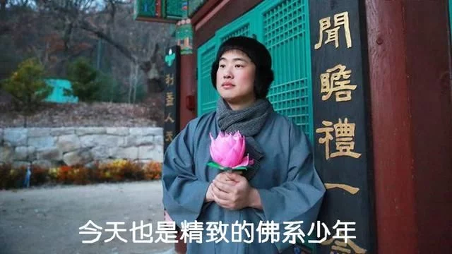 佛系青年必备sivgam005黑檀木耳机听完你就出家了