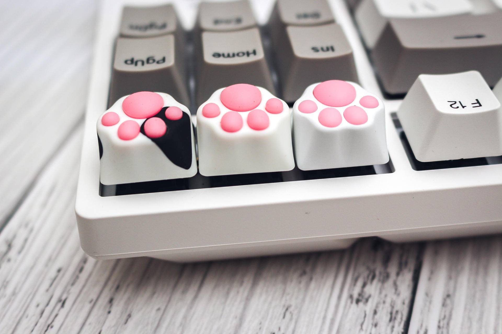 男女通吃zomo猫爪键帽萌萌惹人爱