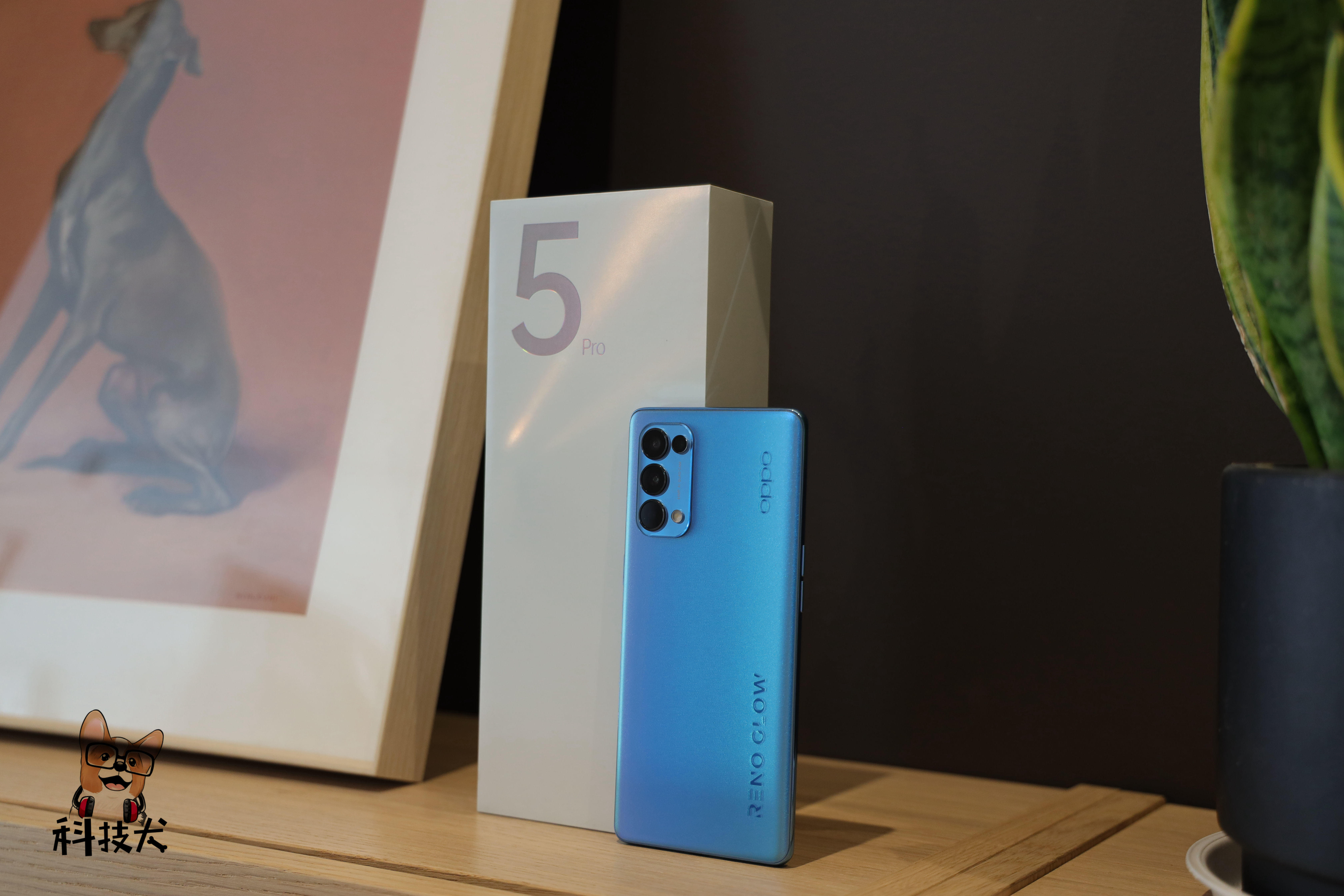 OPPO Reno5 Pro（极光蓝）开箱：星钻工艺 太美了