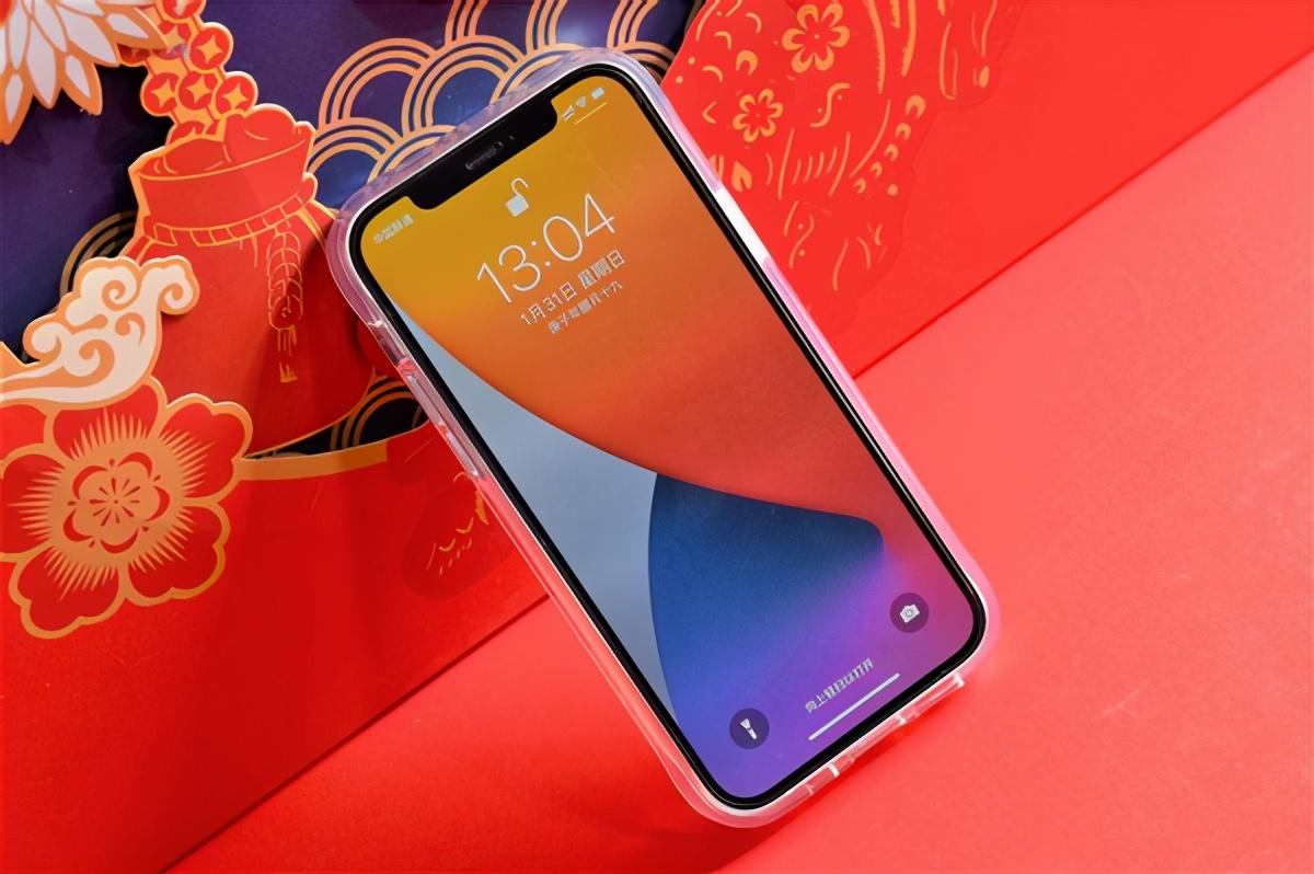 新年换新装，iPhone 12保护套1000入5款，喜欢哪个