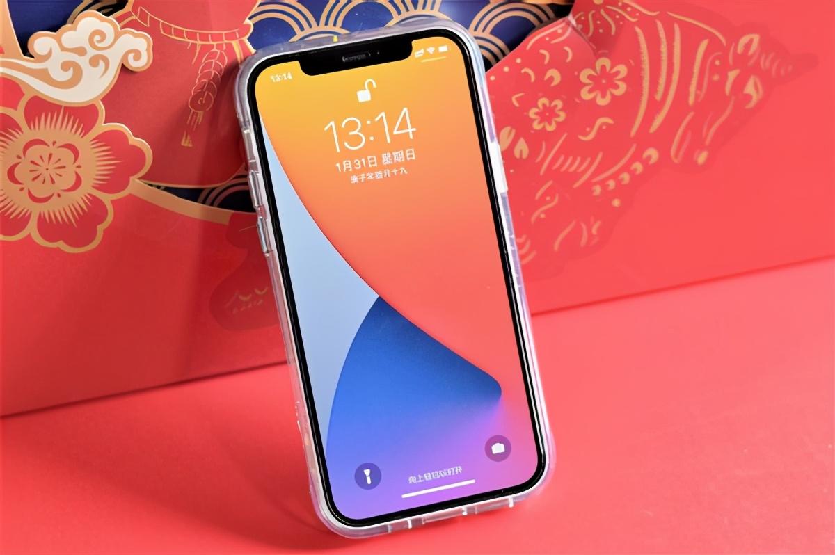 新年换新装，iPhone 12保护套1000入5款，喜欢哪个