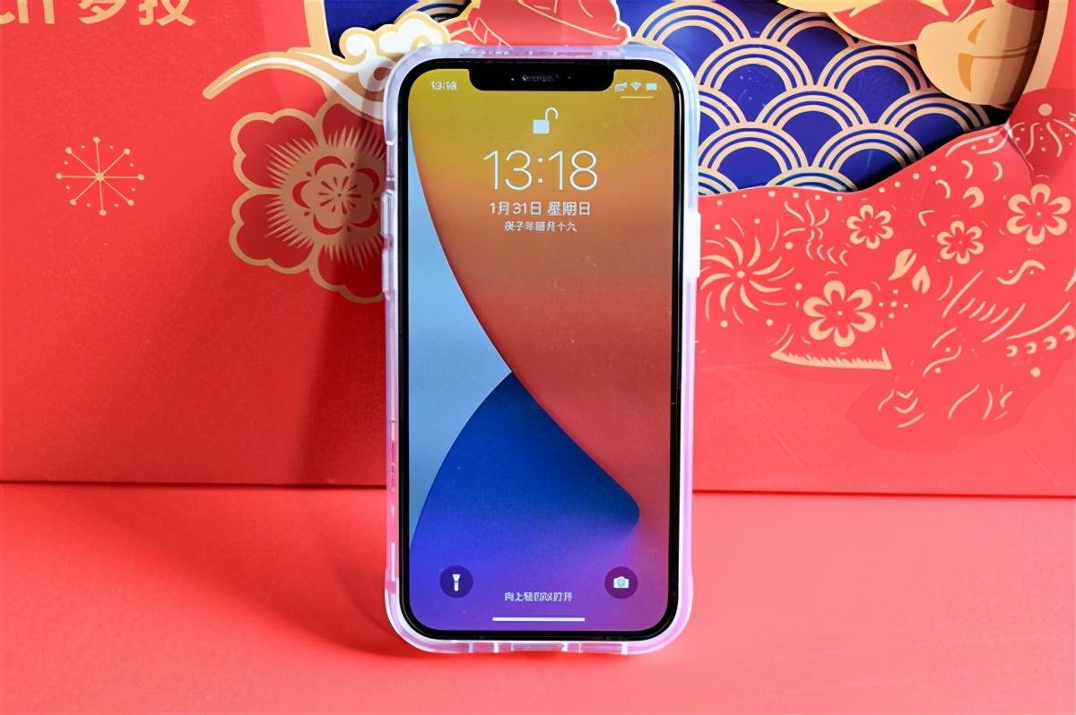 新年换新装，iPhone 12保护套1000入5款，喜欢哪个