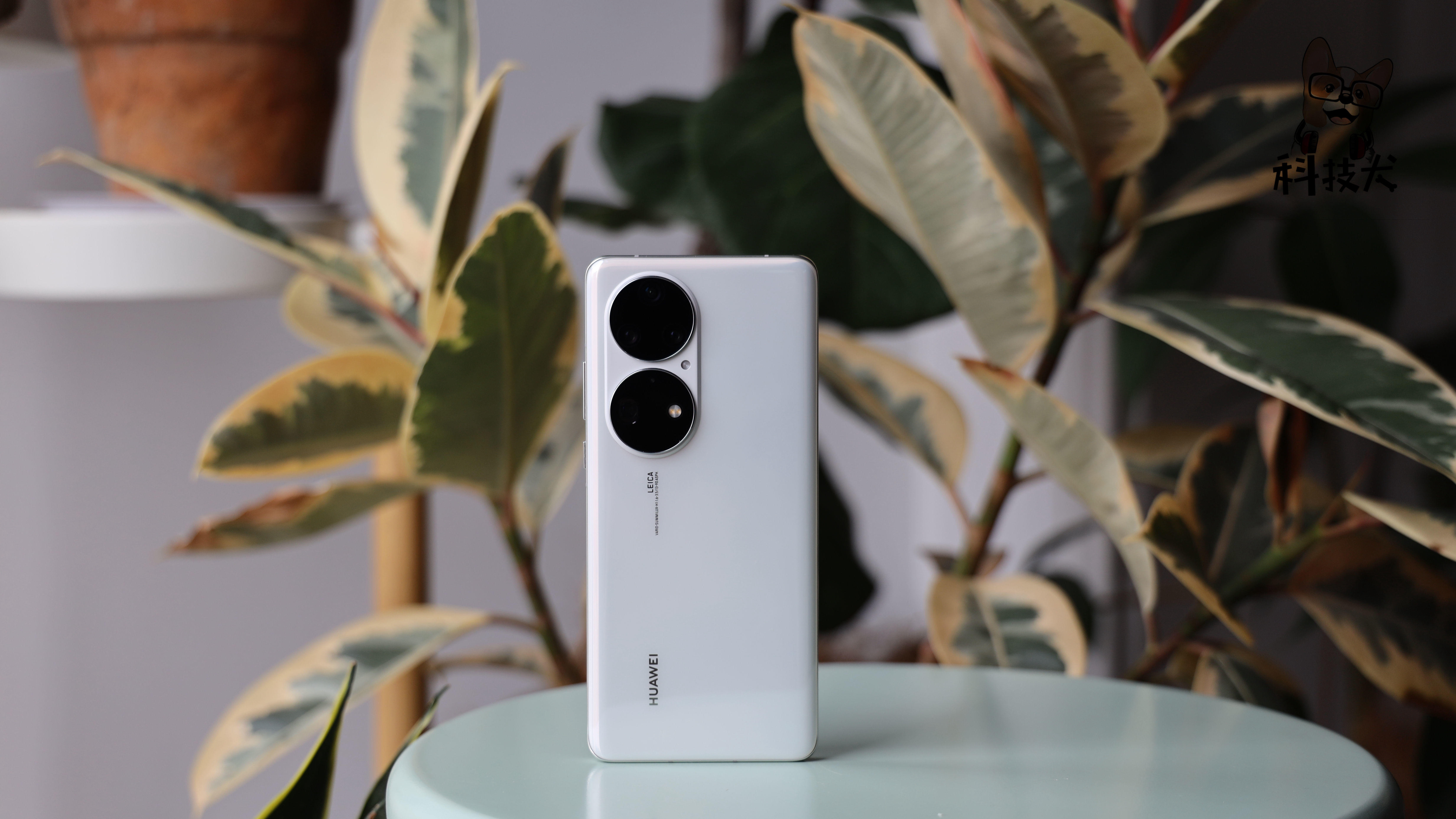 荣耀Magic3 Pro开箱：对比小米11 Ultra、华为P50 Pro，拍照机皇咋选