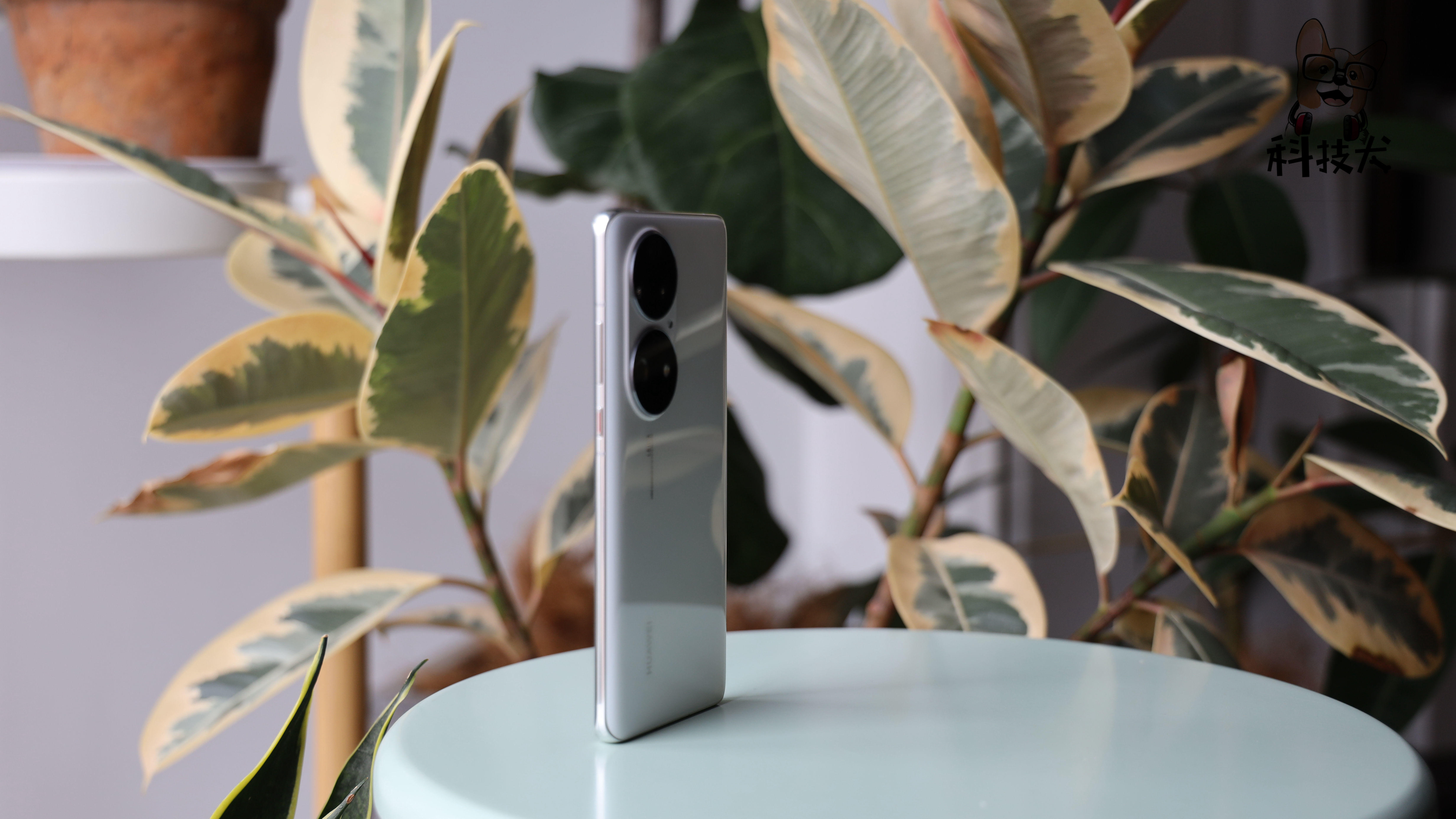 荣耀Magic3 Pro开箱：对比小米11 Ultra、华为P50 Pro，拍照机皇咋选
