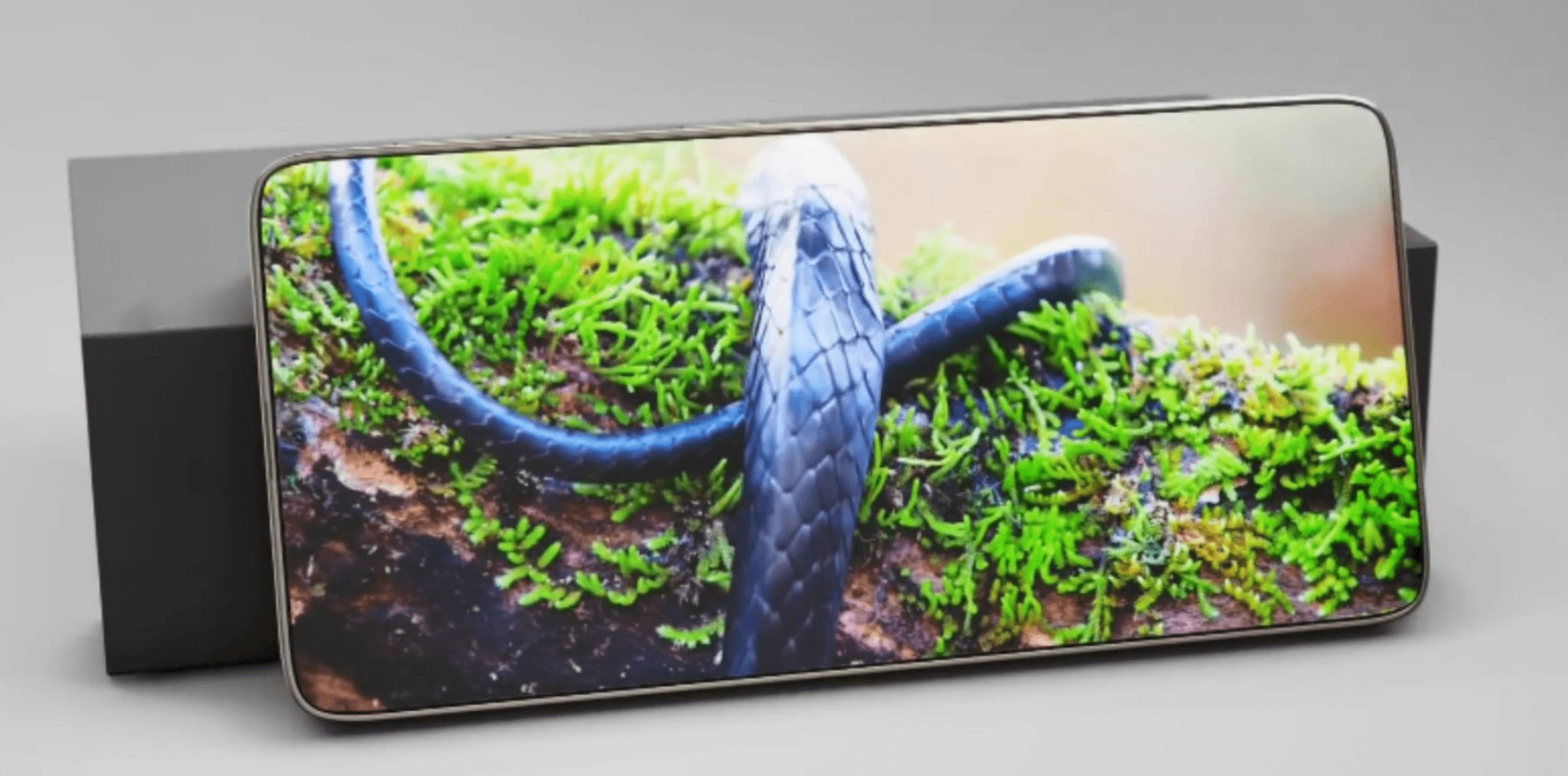 首先我们讨论显示器,它的规格是采用 6.