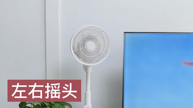 有人说空气循环扇是智商税，为此我花700多买了一台试试